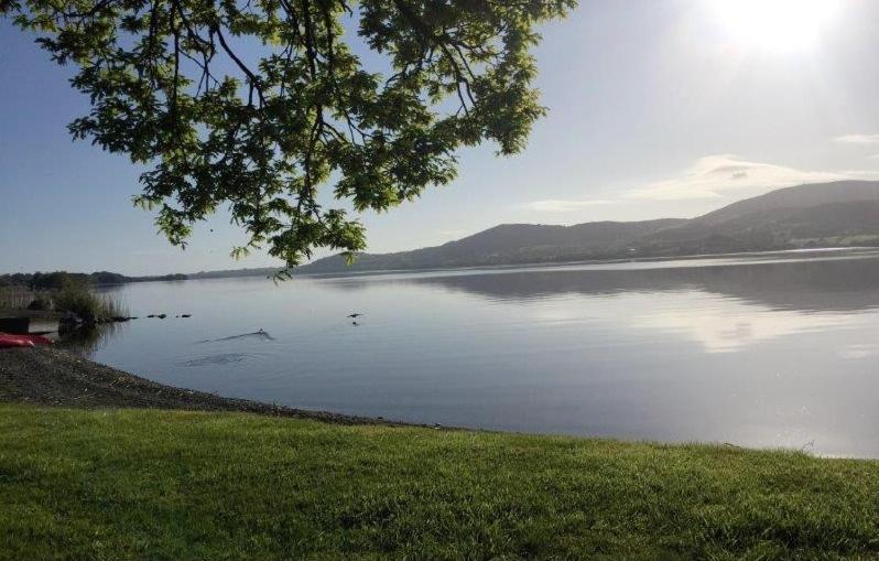 Lakeside Cottage Killaloe Exterior foto